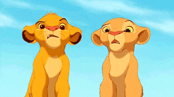 The Lion King What GIF