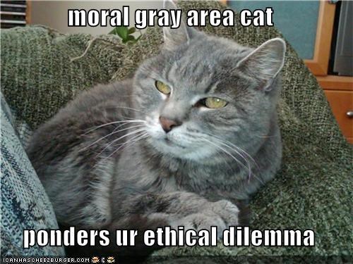 moral-gray-area-cat.jpg