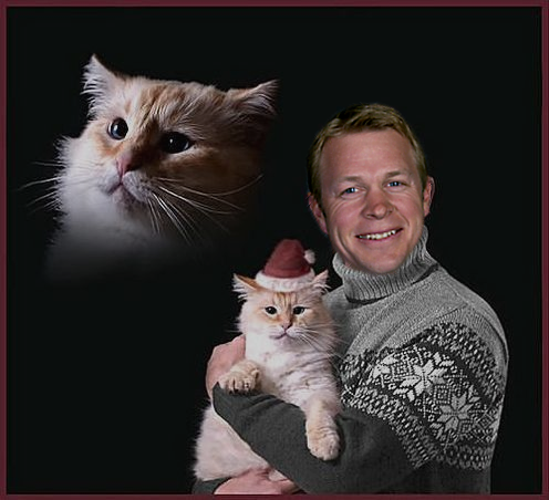 happyholidaysfrombronco.png