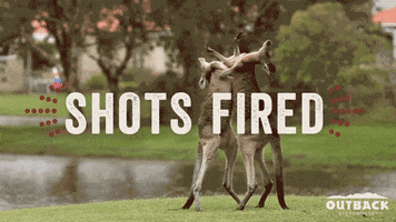 shots fired kangaroo GIF by Outback Steakhouse
