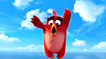 help me oops GIF by Angry Birds