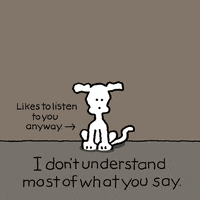 Dogs I Dont Understand GIF by Chippy the Dog